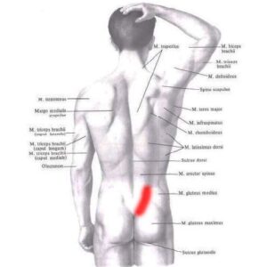 Ból z prawej strony pleców nad pośladkiem – staw krzyżowo biodrowy