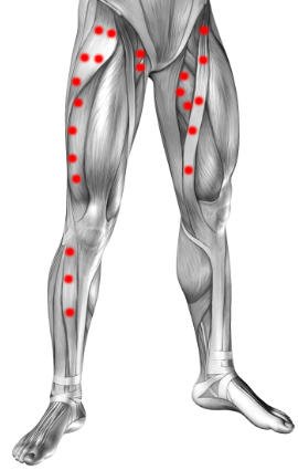 Punkty spustowe w pachwinie i w nogach – mapa punktów