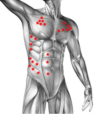 Mapa puntów spustowych: brzuch, mięśnie piersiowe